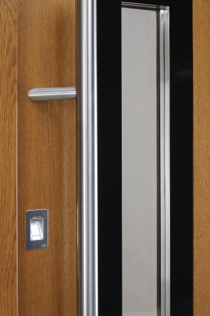 Drzwi zewnętrzne drewniane Moderno 4 Detal 2
